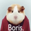 Boris