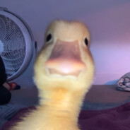 Nick_Chema - steam id 76561198330339941