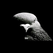 сверху пидop