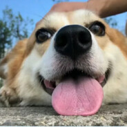 学习新思想/争做新青年