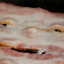 ominutz
