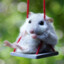 hamster_mbb