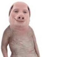Rhysao