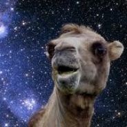 whopizza's Avatar