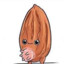 NutMilk
