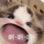 帅气的轩哥
