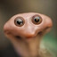 pingle