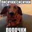 данек петров