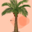 Palm