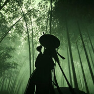 闲云野鹤
