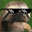 Obligated Sloth