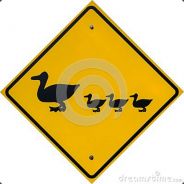 Duck_krek - steam id 76561198052825667