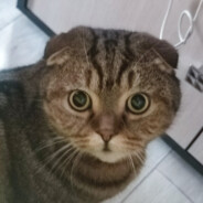 Артур avatar