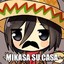 Mikasa su Casa