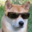 doggo