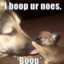 boop