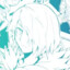 破苍天晓 skybuster_akausuki