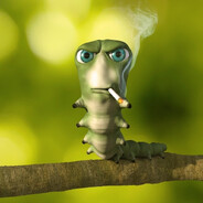 zxckirby