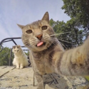 想变成雨伞这样你就可以握我的钩把了