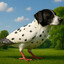 Schatz o Pombo