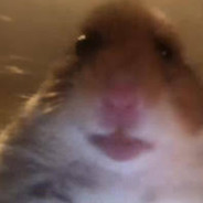 absolute_unit91