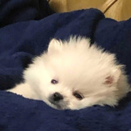 你终究占据了我的心房