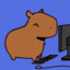 CLERK CAPYBARA