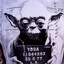 Yoda