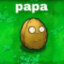 Papa