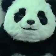 --' - steam id 76561198006005035