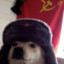 Cachalote Artico Sovietico