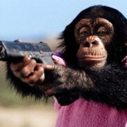 🅱🅰🅿🅱🅰🅿