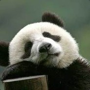 熊猫弟弟