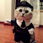 охраник лолтаба