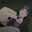 itachi-