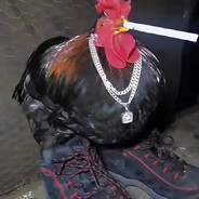 horizontally challenged