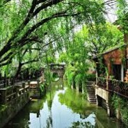 读完这句话的是傻逼