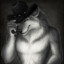 LONELY SIGMA