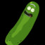 PICKLE RICK