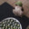 VermouthEnjoyer420