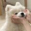叽里咕噜