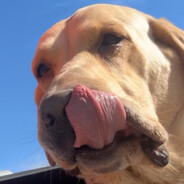 JC SWAGGER - steam id 76561198838710927