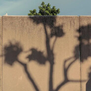 cqupt第一司马懿