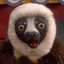 Zoboomafoo