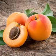 Unvalid_Apricot