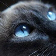 互动前先想想家人