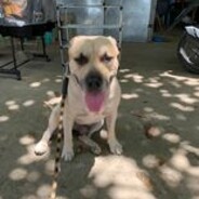 ◥◣CaseyMiro◢◤