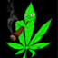 Matisx_1