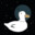 Le Fancy Quack