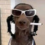 Scooby Dogg